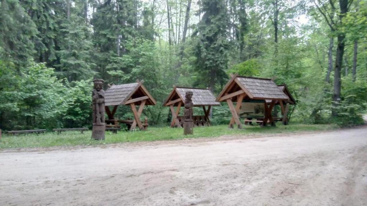 In The Woods - Chata W Lesie Na Wylacznosc Supraśl Zewnętrze zdjęcie