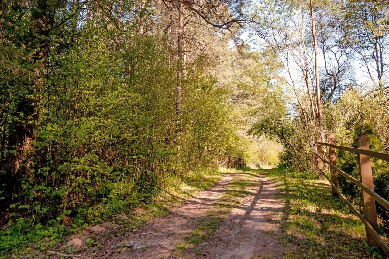 In The Woods - Chata W Lesie Na Wylacznosc Supraśl Zewnętrze zdjęcie