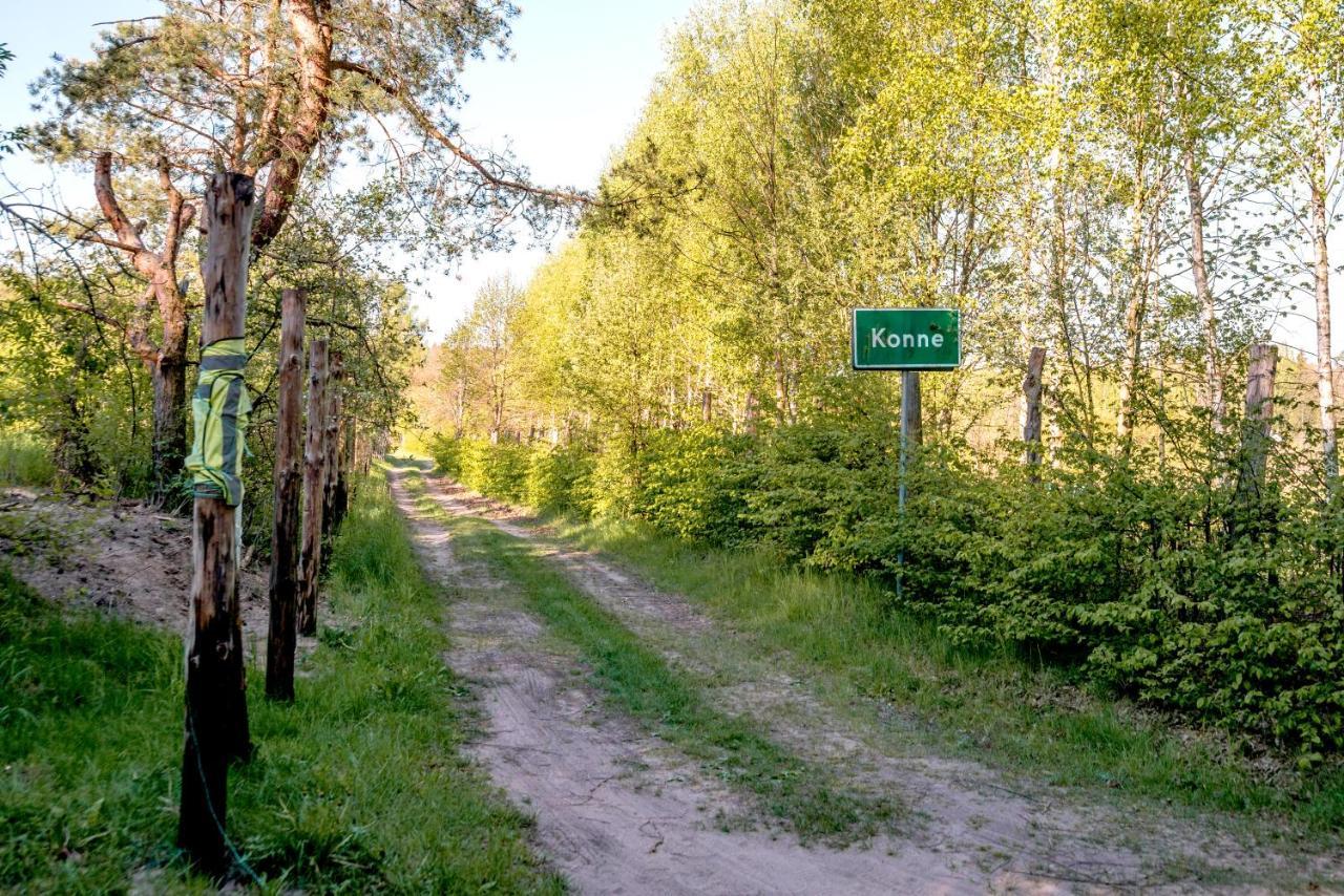 Willa In The Woods - Chata W Lesie Na Wylacznosc Supraśl Zewnętrze zdjęcie